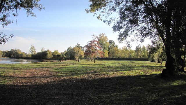 Rochefort sur loire (92)